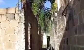 Imagem 4: Terreno 6x22 Pau Miudo