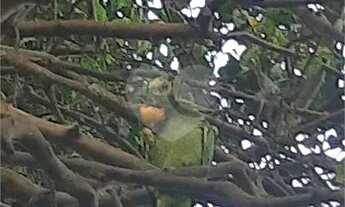 Imagem 3: Apartamento-São Paulo-TREMEMBÉ