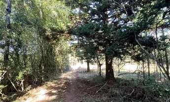 Imagem 2: Sítio Com Entrada De 4.900 E Parcelas De 650. ROB:83