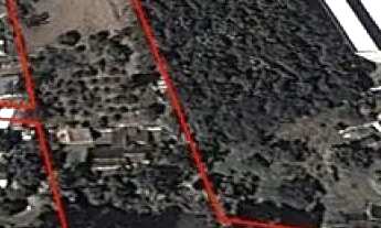 Imagem 2: AREA - LARANJA AZEDA - SP