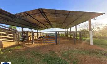 Imagem 3: Fazenda à Venda em Itaguari - Goiás