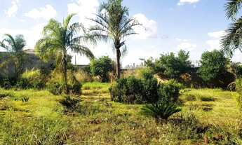 Imagem 4: Terreno condomínio - Royal Park - Venda