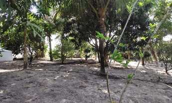 Imagem 2: SITIO A 18KM DE FEIRA DE SANTANA