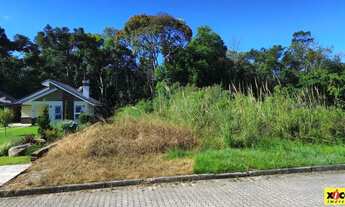 Imagem 4: Terreno para Venda em Nova Petrópolis, Juriti