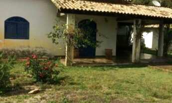 Imagem: CAJUEIRO - SJB - EXCELENTE PREÇO!