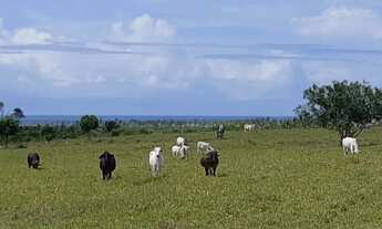 Imagem 3: Fazenda Pasto Casa com 1 dormitório