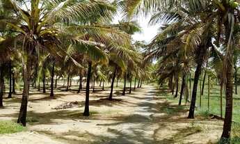 Imagem 8: EXCELENTE CASA - MALUI RESIDENCE - RAINHA DOS LOTES