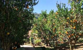 Imagem: Casa tipo sítio para venda possui 3 quartos