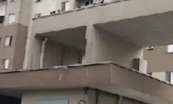 Imagem: São Paulo/SP - JARDIM DO LAGO