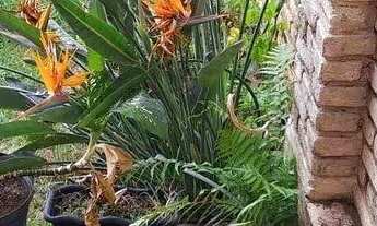 Imagem 3: Casa com 4 quartos à venda, 283 m² por R$ 1.100.000 - São João Batista - Belo Horizonte/MG