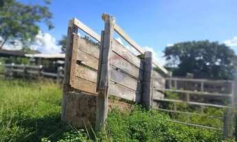 Imagem 3: Área para plantio de soja;grãos.Criação de gado bovino. 900 hectares.Agricultura e PECUÁRI