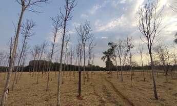 Imagem 2: Chácara para venda, com 55.875m² próximo ao Campus da UFG - Goiânia - GO