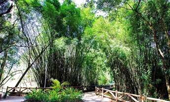 Imagem 7: Lote em condomínio à venda, Jardim Residencial Saint Patrick - Sorocaba/SP