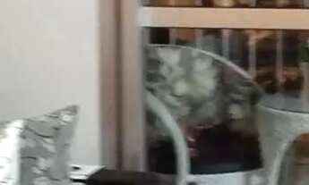 Imagem 2: Oportunidade Apto 40m2 1 dormitório com 1 vaga de garagem