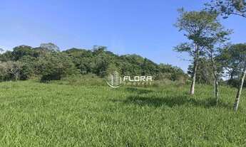 Imagem 6: Terreno à venda, 368 m² por R$ 140.000 - Várzea das Moças - Niterói/RJ