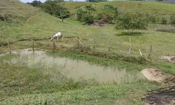 Imagem 6: Venda-se está propriedade de 14 alqueires no Município de Bom Jesus do Norte/ES