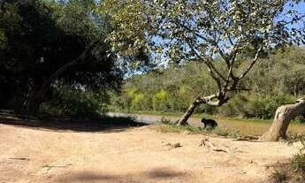 Imagem 2: Terrenos em Ibiúna com Ampla Área Verde Mais Qualidade de Vida!