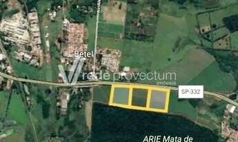 Imagem 2: área - Bonfim - Paulínia