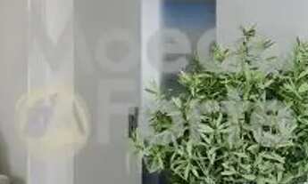 Imagem 4: Apartamento 1 Dormitório(s) Bairro Boa Vista