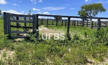 Imagem 5: Fazenda Campinaçu