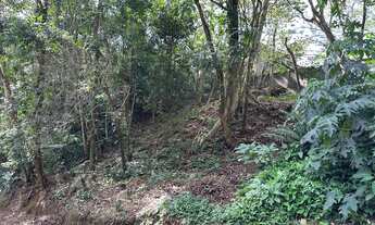 Imagem: Terreno em Ribeirão Pires - 4º Divisão