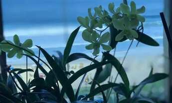 Imagem 5: Costa de Sol Frontal Mar