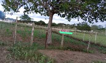 Imagem: Terreno no alto. Frente da br 116. 20 mil