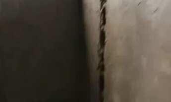 Imagem 6: Casa em condomínio fechado