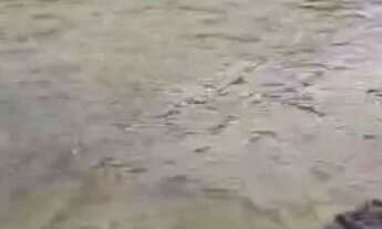 Imagem 5: Fazenda MG Bonfinópolis