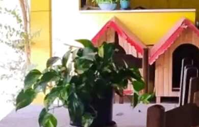 Imagem: Casa com valor abaixo do mercado área gourmet