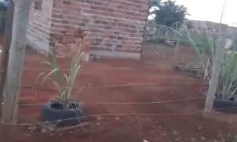 Imagem: Vendo 45 mil vera cruz 1