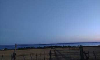 Imagem 4: Terreno em Petrolândia com 134 hectares