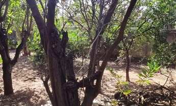 Imagem 6: Vendo terreno em Catanduva no Bairro Parque Flamingo 360m²