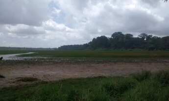 Imagem 3: Chácara à venda, Tracuateua, Bragança, PA