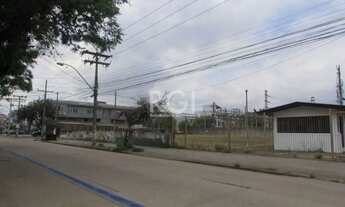 Imagem 6: Porto Alegre - Terreno Padrão - Navegantes