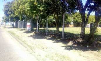 Imagem: Porto Alegre - Terreno Padrão - Floresta