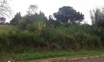 Imagem 2: ÁREA Rondônia Novo Hamburgo