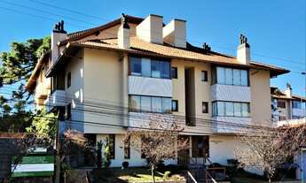 Imagem 2: GRAMADO - Padrão - Floresta