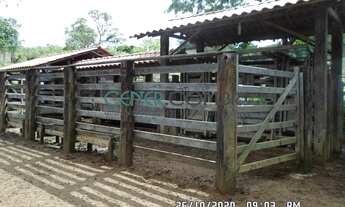 Imagem 2: EXTRAORDINÁRIA FAZENDA DE 45 HA COM GRANDE CAPACIDADE PRODUTIVA E PERTO DE BH