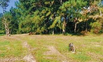 Imagem 4: 03t-Temos ótimos terrenos para Venda!!