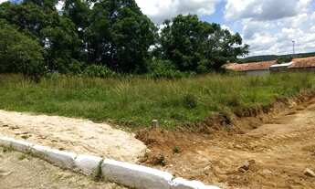 Imagem 2: TERRENOS - POJUCA