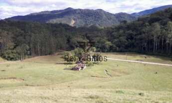 Imagem 5: Sítio 1 Quarto Pomerode - SC - Testo Central