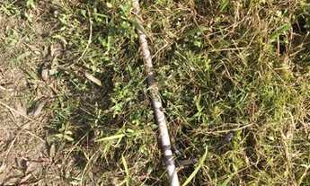 Imagem 4: Vendo terreno vila Garcia