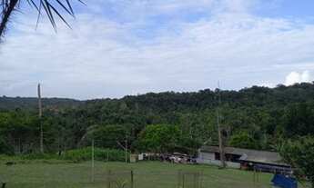 Imagem 6: Fazenda/Sítio/Chácara para venda tem 404100 metros quadrados com 3 quartos