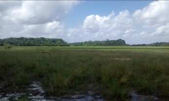 Imagem 2: Chácara à venda, Tracuateua, Bragança, PA
