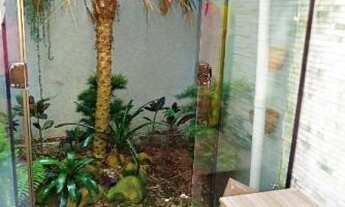 Imagem 3: Casa Condominio em Altos Do Ipê