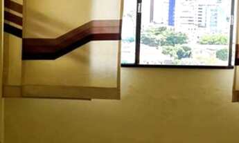 Imagem 4: Homer Captações] --1945353