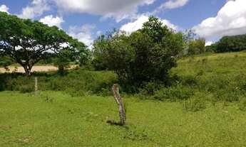 Imagem 3: Sítio de 3600m2