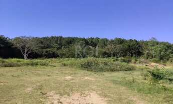 Imagem 4: Porto Alegre - Galpão/Depósito/Armazém - Lageado