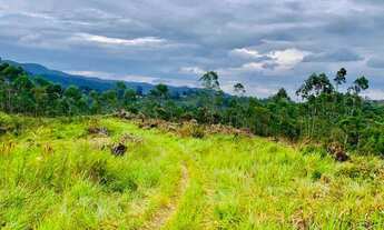 Imagem 6: Lote/Terreno para venda tem 1000 metros quadrados em Centro - Mairiporã - SP
